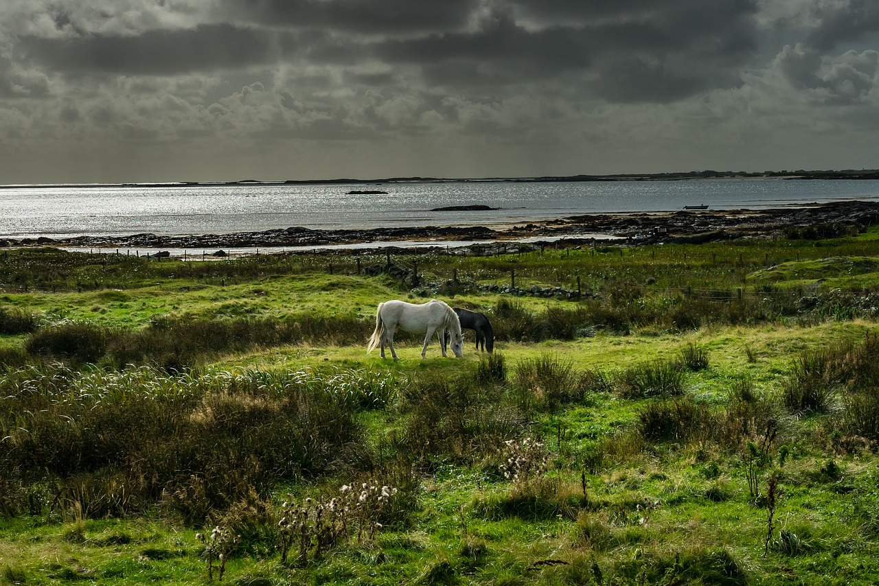 Ultimate 5-Day Connemara Adventure and Culinary Delights